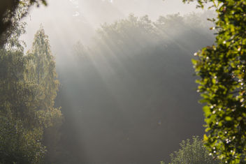 Morning - image gratuit #293891
